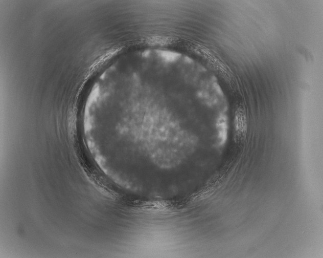 X0000115160492200912081411