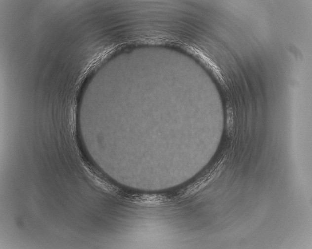 X0000115160493200912081411