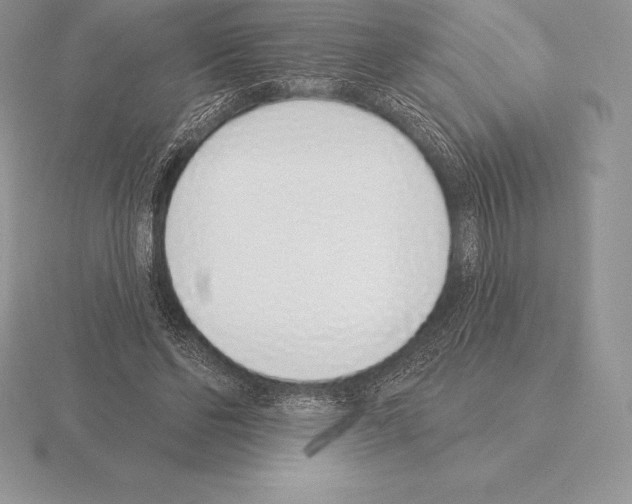 X0000115160494200912081411