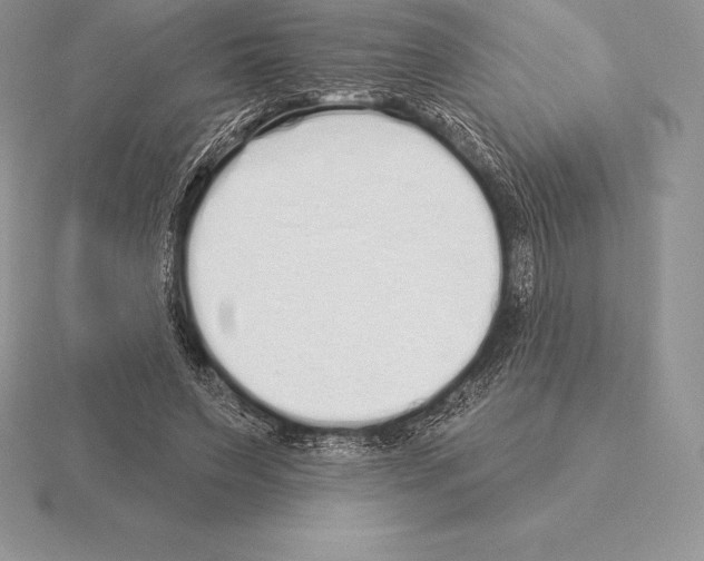 X0000115160495200912081411