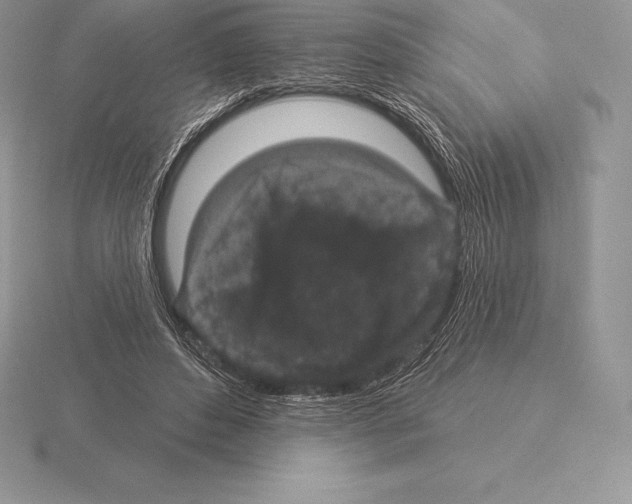 X0000115160496200912081411