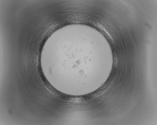 X0000115160497200912081411