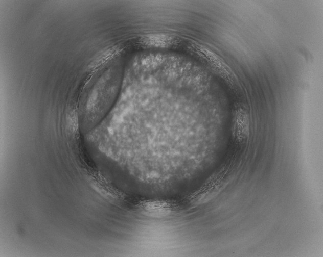 X0000115160500200912081411