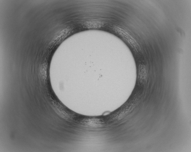 X0000115160501200912081411