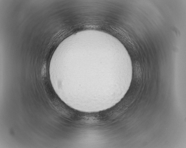 X0000115160502200912081411