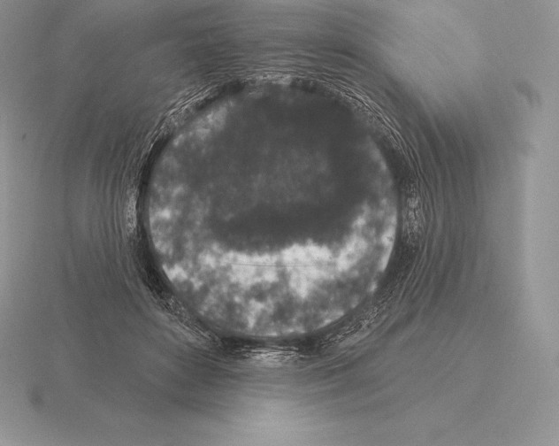 X0000115160504200912081411