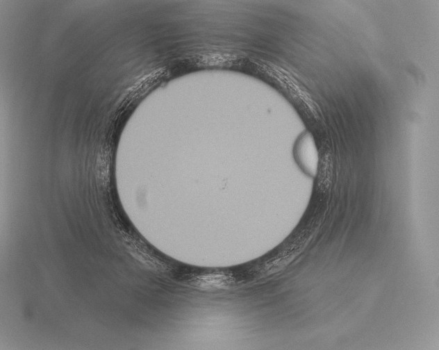 X0000115160505200912081411