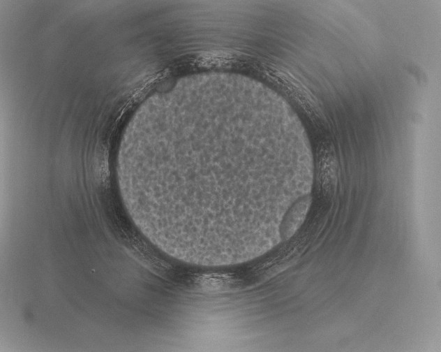 X0000115160508200912081411