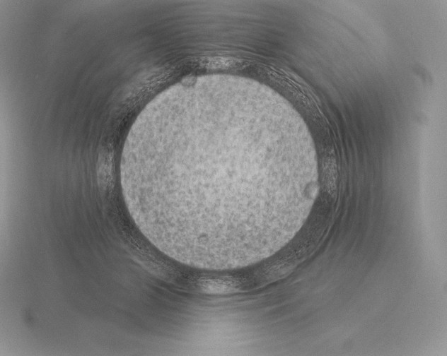 X0000115160510200912081411