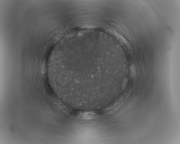 X0000115160517200912081411