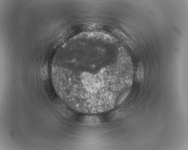 X0000115160520200912081411