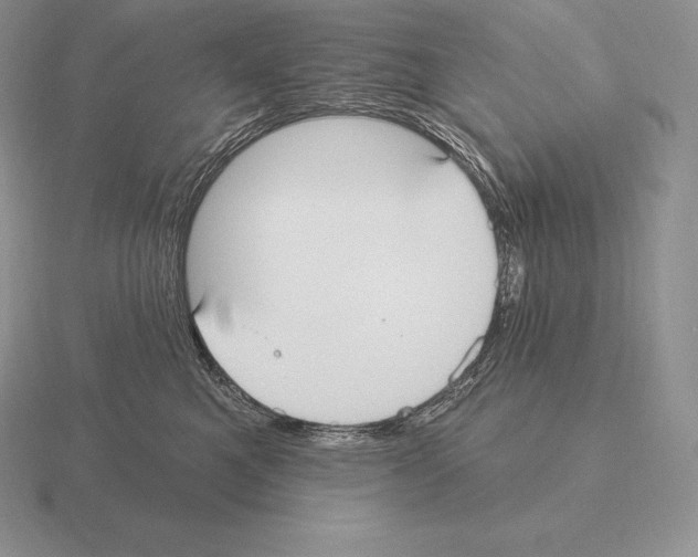 X0000115160521200912081411