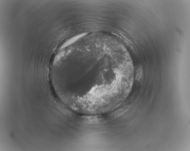 X0000115160524200912081411