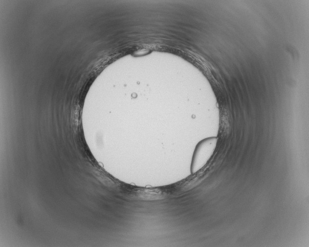 X0000115160525200912081411