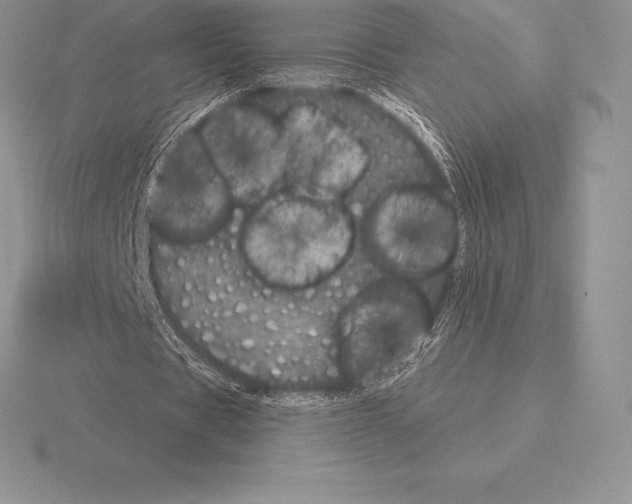 X0000115160529200912081410