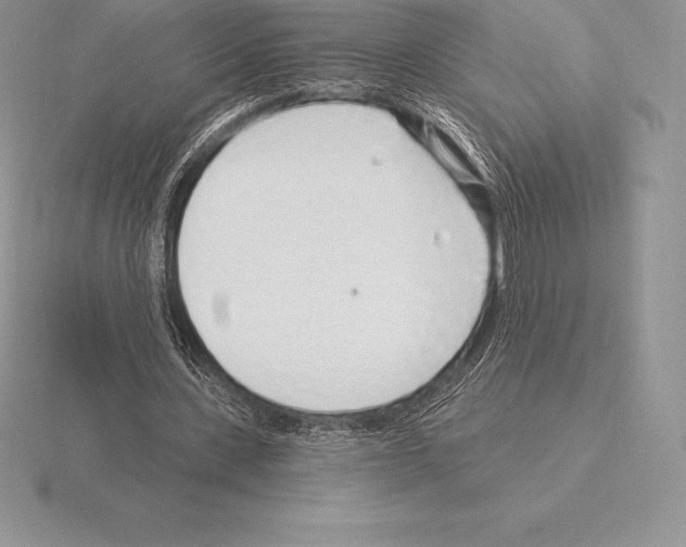 X0000115160531200912081410