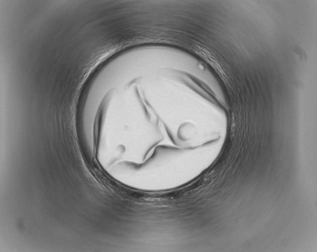 X0000115160534200912081410