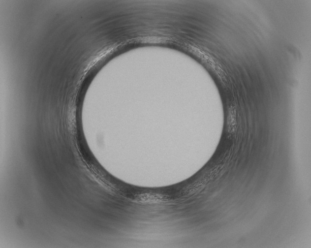 X0000115160535200912081410