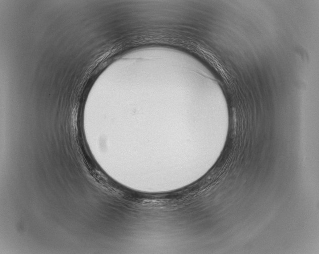 X0000115160538200912081410