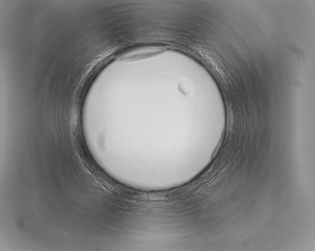 X0000115160539200912081410