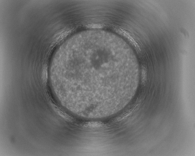 X0000115160541200912081410