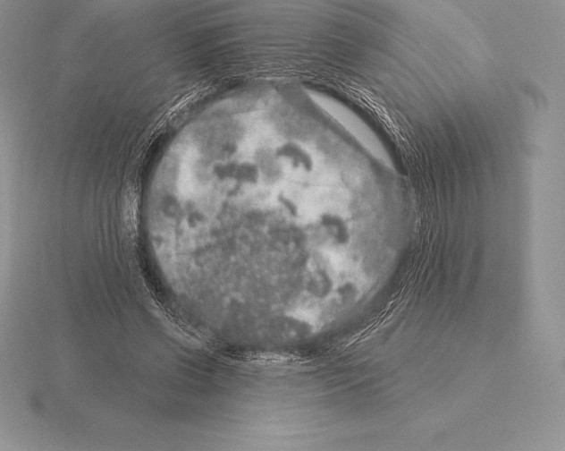 X0000115160542200912081410