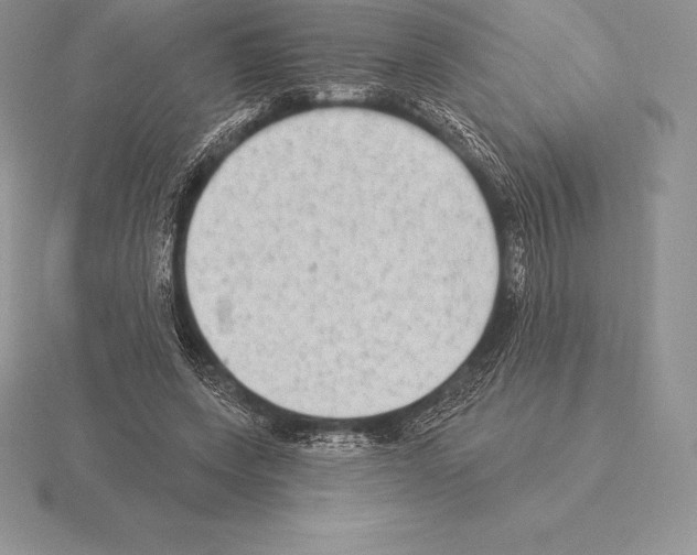 X0000115160543200912081410