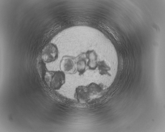 X0000115160545200912081410