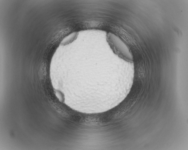 X0000115160546200912081410