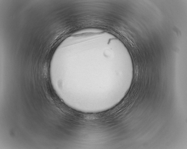 X0000115160547200912081410