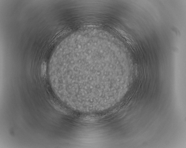 X0000115160550200912081410