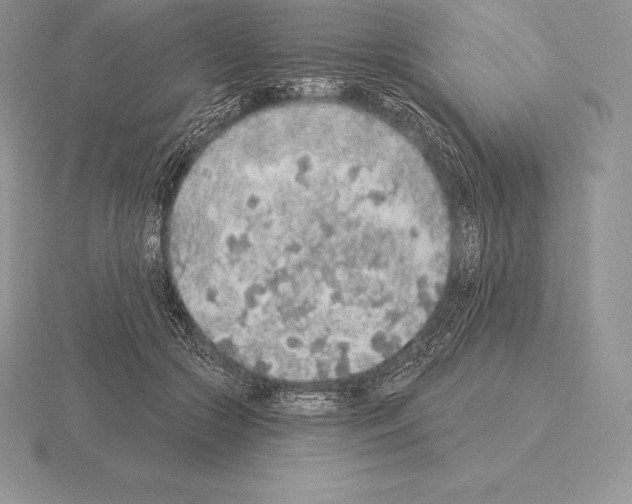 X0000115160553200912081410