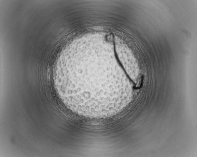 X0000115160555200912081410