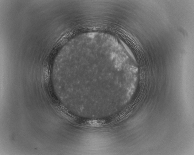 X0000115160558200912081410