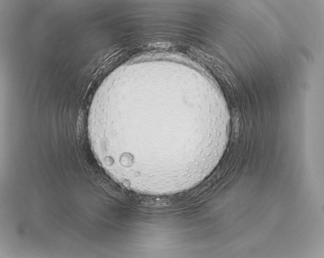 X0000115160559200912081410