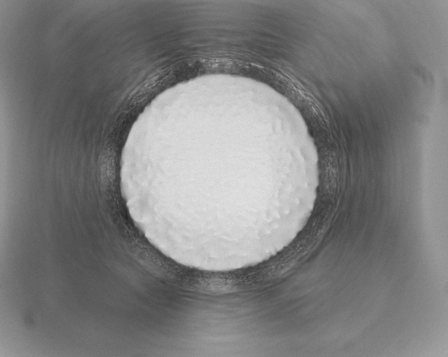 X0000115160561200912081410