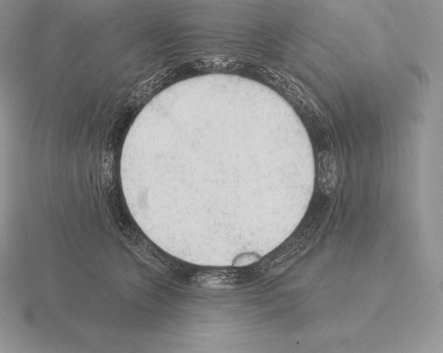 X0000115160563200912081410