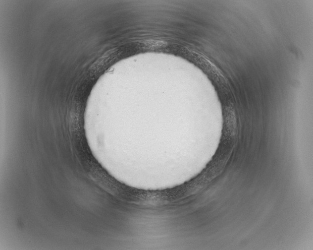 X0000115160565200912081410