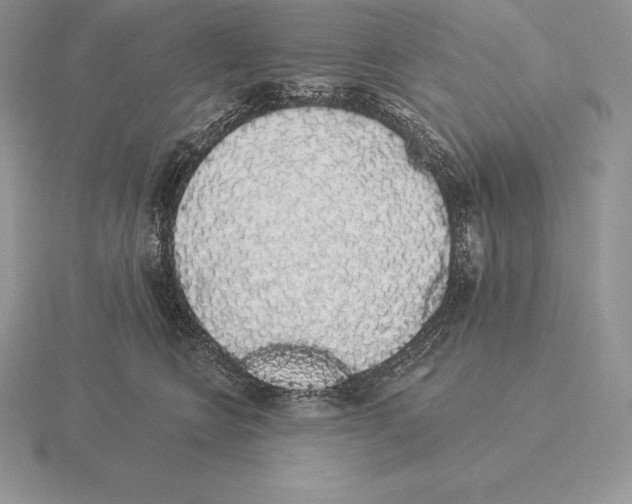 X0000115160566200912081411