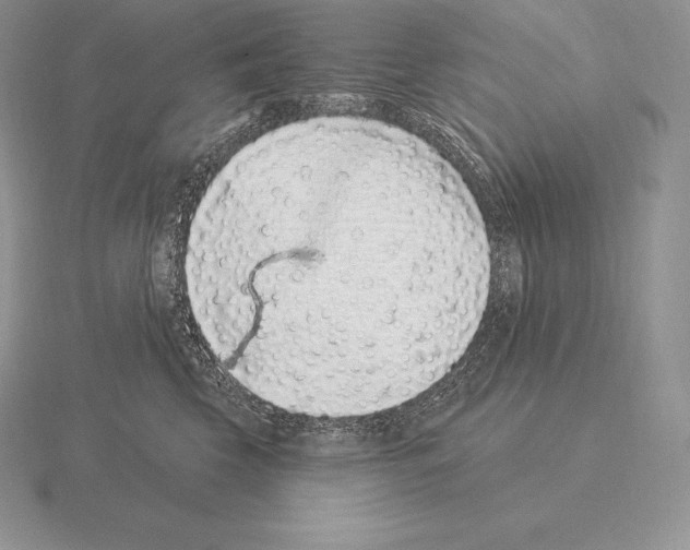 X0000115160569200912081411