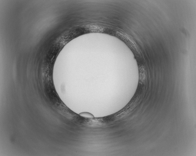 X0000115160573200912081411