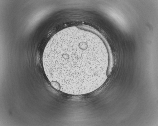 X0000115160574200912081411