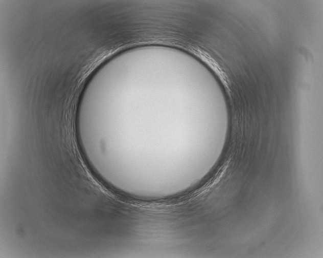 X0000115160577200912081410