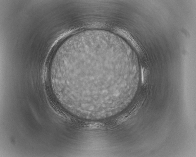 X0000115160579200912081410