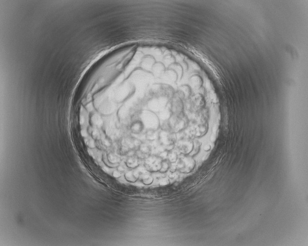 X0000115160580200912081410