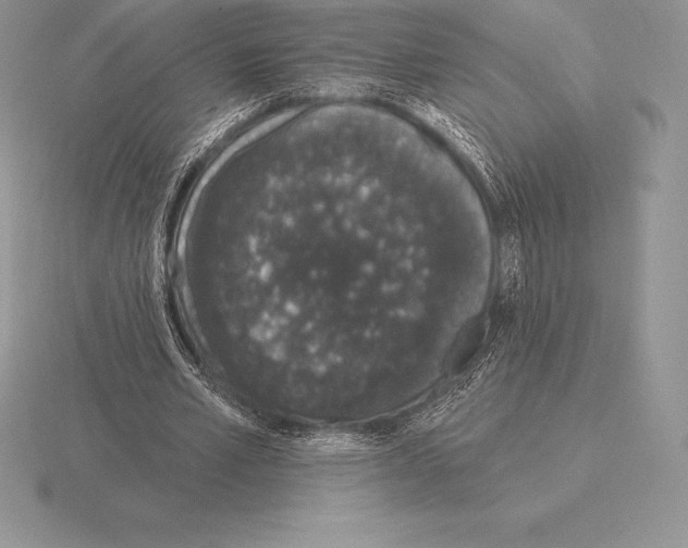 X0000115160581200912081410