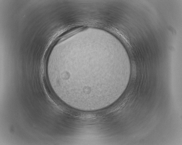 X0000115160582200912081410