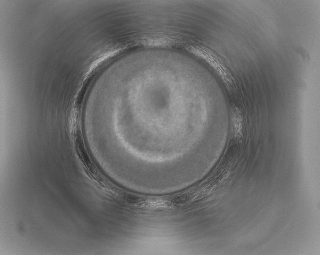 X0000115160583200912081410