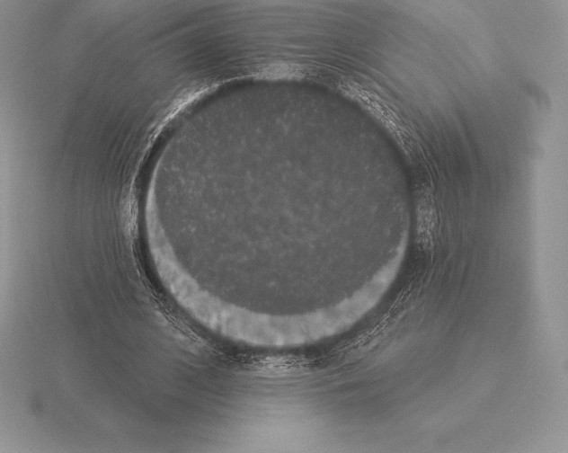 X0000115160584200912081410