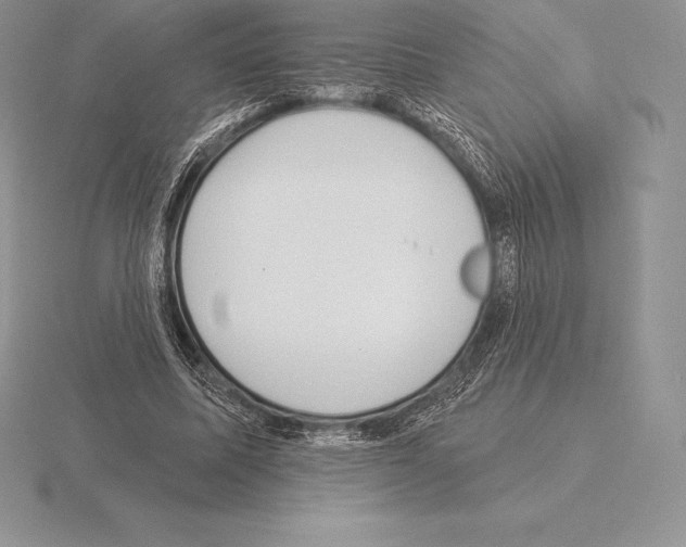 X0000115160587200912081410